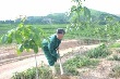 Tiếp tục điều chỉnh suất đầu tư trong năm 2016